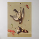 Search for cerise posters Cherry