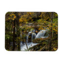 Search for creek fall magnets Chuck haney