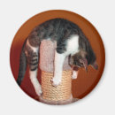 Search for sad cat magnets Funny