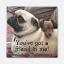 Search for friend me magnets Dog