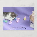 Search for cat lovers easter cards Cats