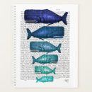 Search for steampunk office supplies Sealife