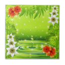 Search for water drop tiles Nature