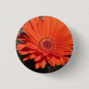 Search for gerberas badges Orange