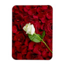 Search for petals magnets Elegant