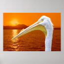 Search for corfu posters Nature