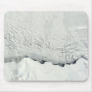 Search for antarctic mouse mats Ice