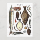 Search for multiples postcards Fish