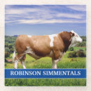 Search for simmental Cattle