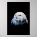 Search for abstract owl art Animal