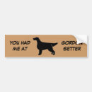 Search for setter bumper stickers Pets