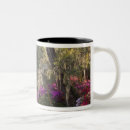 Search for azalea drinkware North america