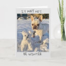 Search for funny snowman cards Dog