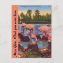 Search for florida bird postcards flamingos