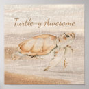Search for funny turtle posters Nature