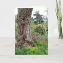 Search for ash cards Tree