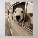 Search for photgraphy posters Whimsical