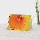 Search for devon cards Nature