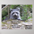 Search for cute raccoon art Wildlife