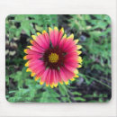 Search for red gerbera electronics Colourful