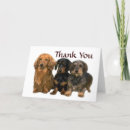 Search for dachshund thank you cards Puppy