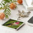 Search for raspberries key rings Nature