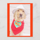 Search for love pets postcards Romance