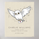 Search for hedwig gifts Hogwarts