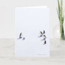Search for big bird cards Birds around the world