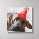 Search for bloodhound art Flowers