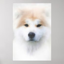 Search for samoyed dog posters Dogs