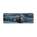 Search for open return address labels Wildlife