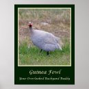 Search for guinea fowl decor Animals