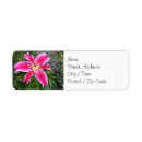 Search for stargazer lily return address labels Flowers