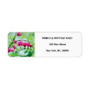 Search for pacific return address labels Nature