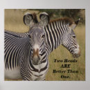 Search for two is better than one Zebra