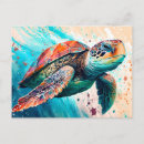 Search for turtle lovers cards Cute