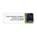 Search for rottweiler return address labels Puppies