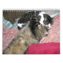 Search for kitty calendars Orange