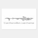 Search for vintage skeleton stickers Anatomy