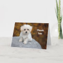 Search for puppy thank you cards Canine