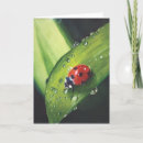 Search for bug art cards Watercolor