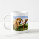 Search for cow hair mugs Highland