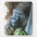 Search for apes mouse mats Gorilla