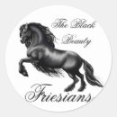 Search for black pony stickers Stallion