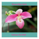Search for pink orchid posters Floral