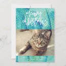 Search for fur baby cards Pets