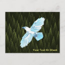 Search for conifer postcards Nature