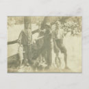 Search for green fish postcards Black
