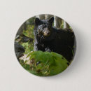 Search for hide badges Animal